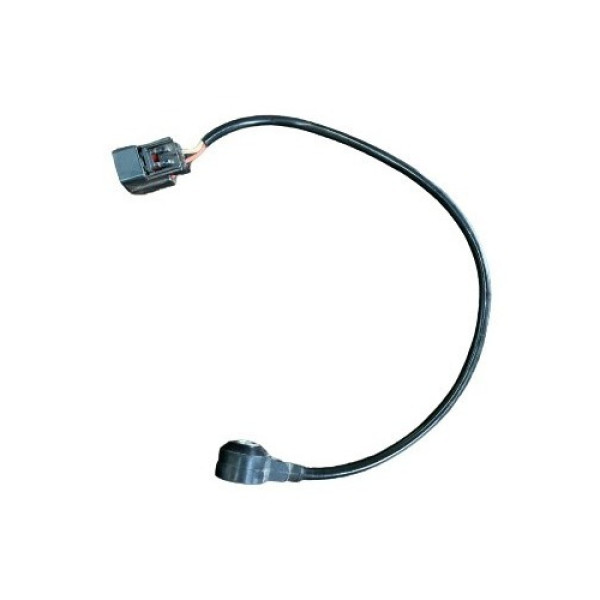 Sensor De Detonação Focus 2016 2017