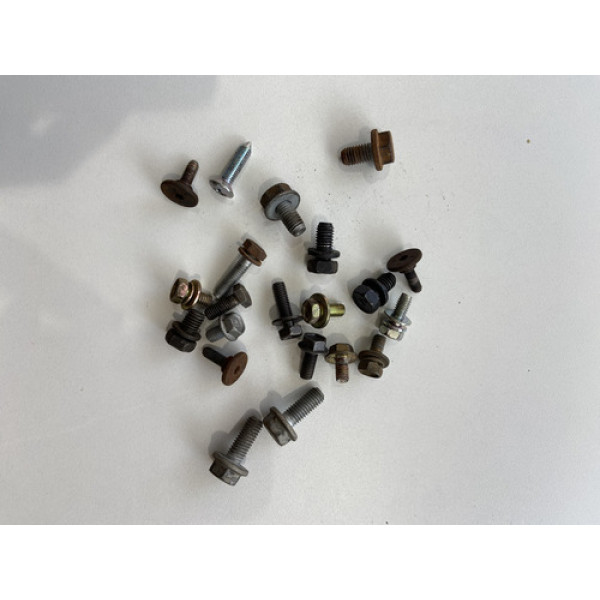 Kit 20 Parafusos Sortidos Automotivos 170