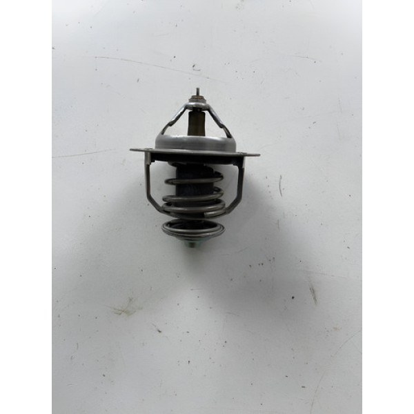 Válvula Termostática Hyundai I30 2.0 2010 2011