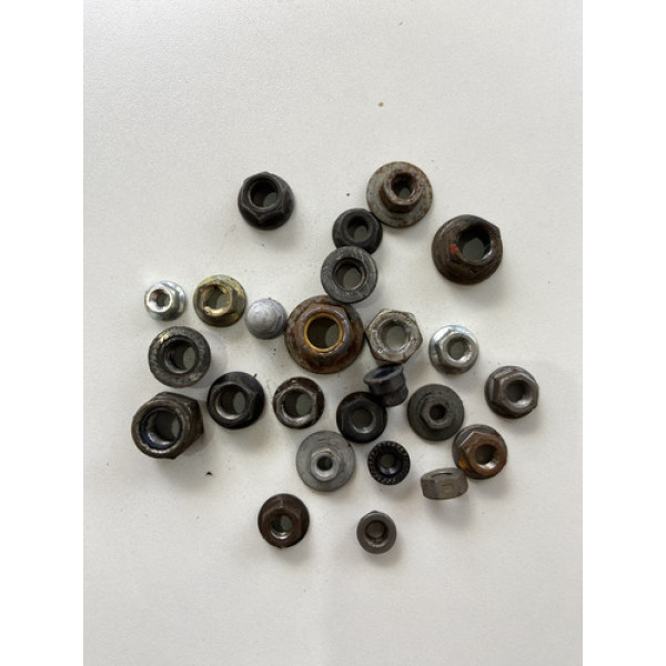 Kit 25 Porcas Sortidas Automotivo 220 Preto