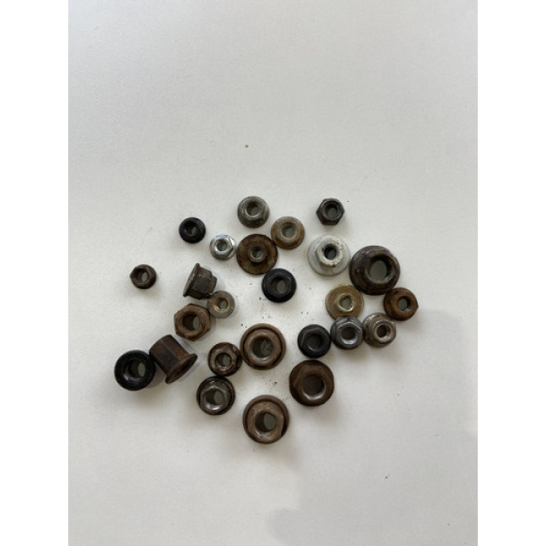 Kit 25 Porcas Sortidas Automotivo 217 Preto