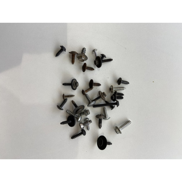 Kit 30 Parafusos Sortido Automotivo 181