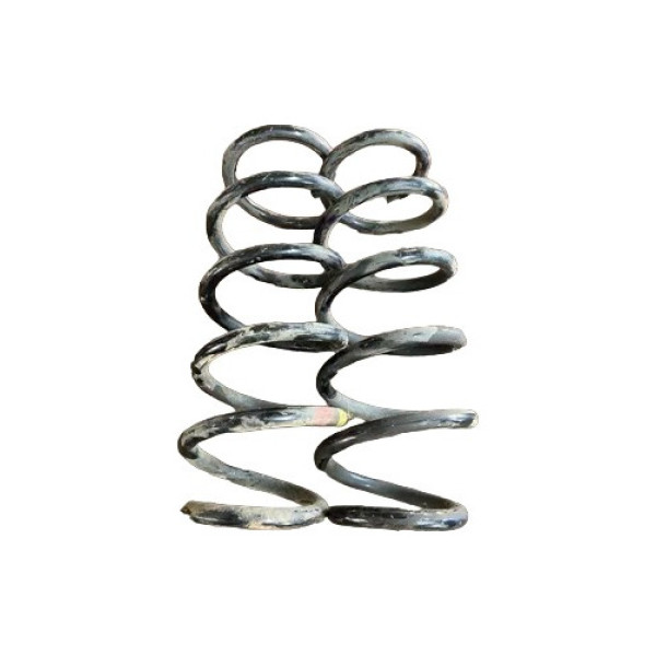 Par De Molas Traseiros Renault Captur 2019 2020