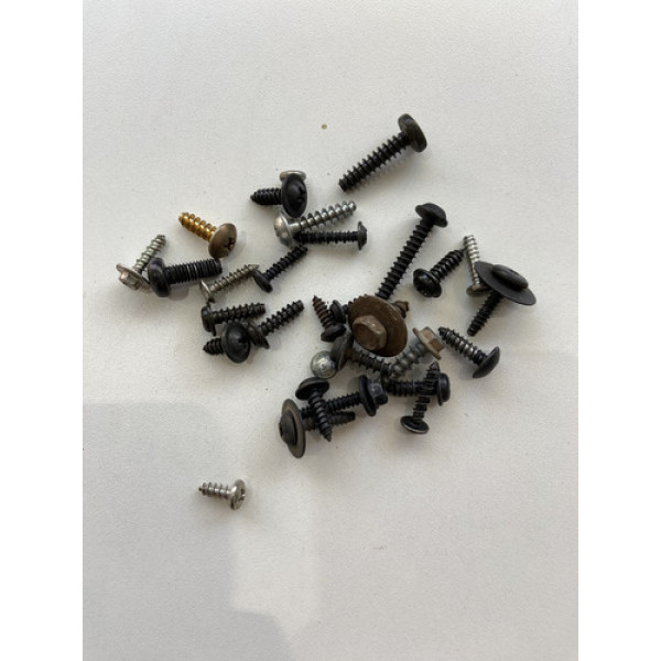 Kit 30 Parafusos Sortido Automotivo 186