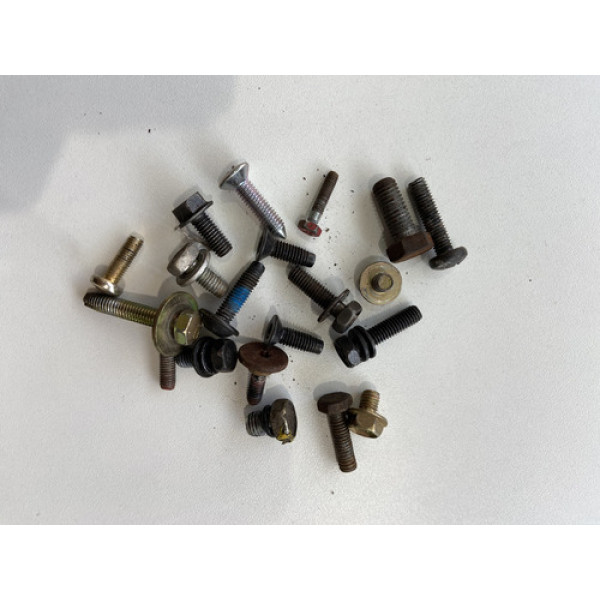 Kit 20 Parafusos Sortidos Automotivos 171