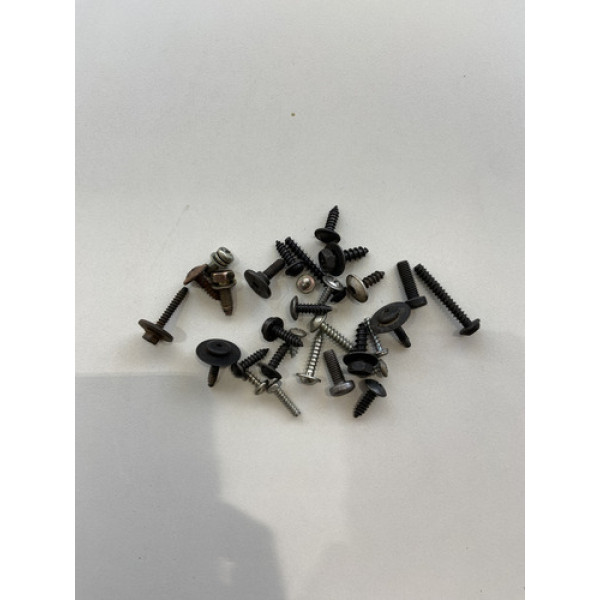 Kit 30 Parafusos Sortido Automotivo 191