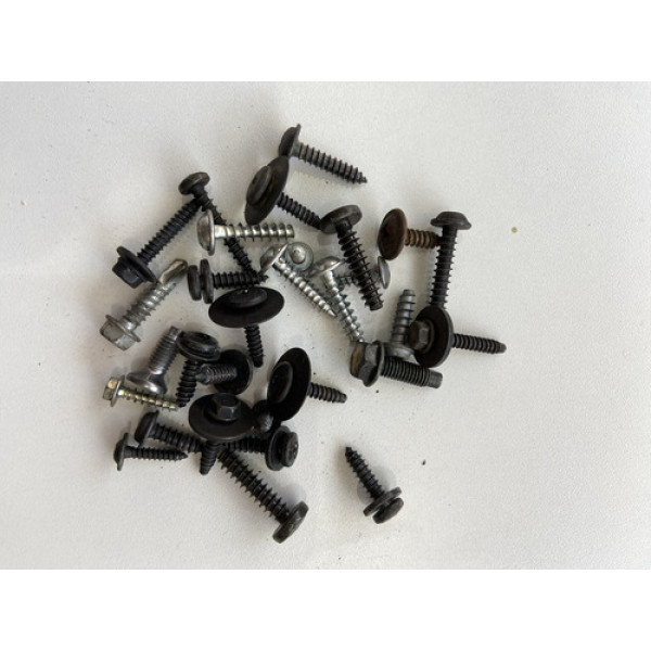 Kit 30 Parafusos Sortido Automotivo 175