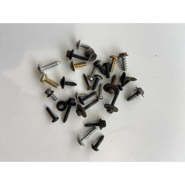 Kit 30 Parafusos Sortido Automotivo 173