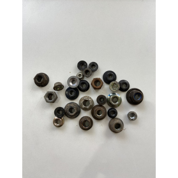 Kit 25 Porcas Sortidas Automotivo 202 Preto