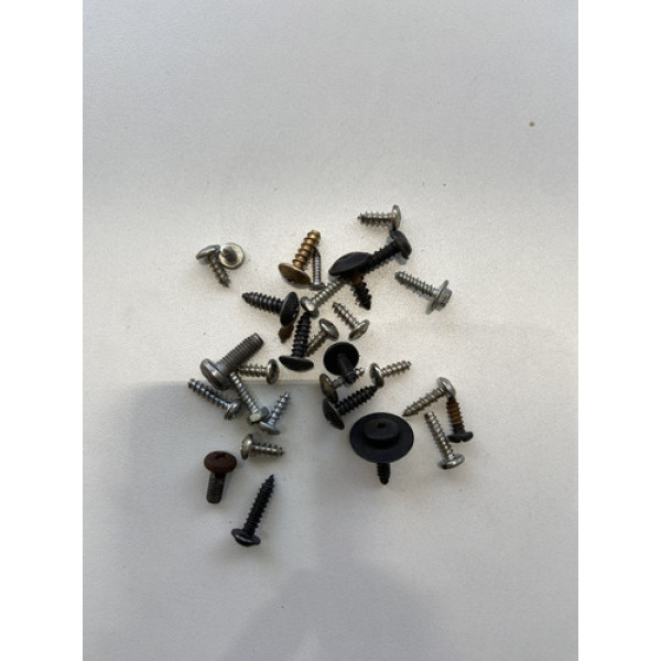 Kit 30 Parafusos Sortido Automotivo 200