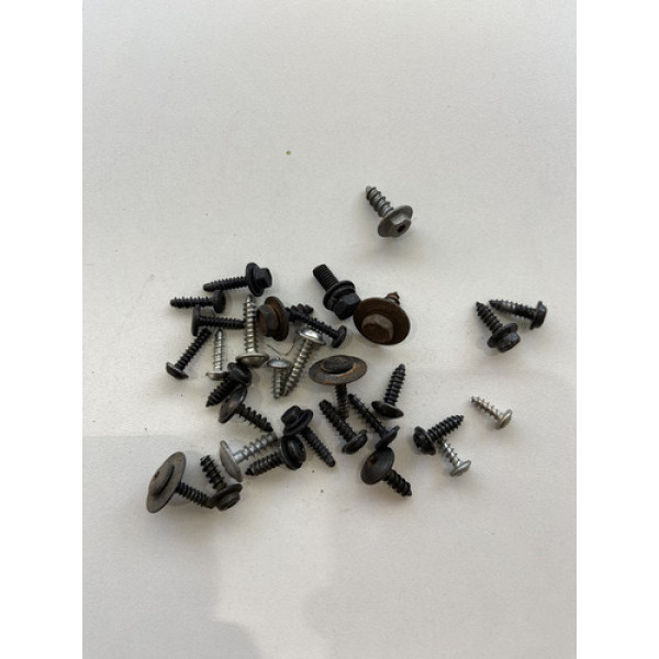 Kit 30 Parafusos Sortido Automotivo 187