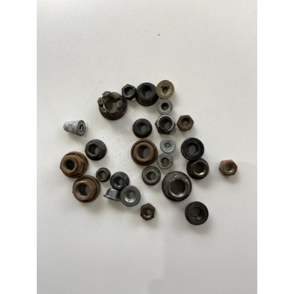 Kit 25 Porcas Sortidas Automotivo 219 Preto