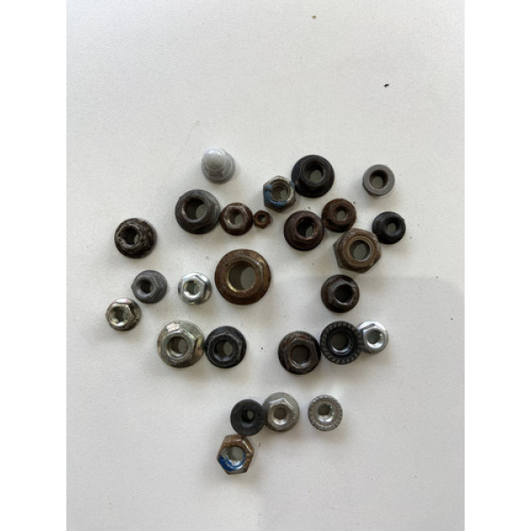 Kit 25 Porcas Sortidas Automotivo 223 Preto